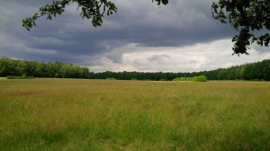 Die Hofewiese in der Dresdner Heide