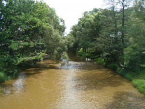 Spree in Neustadt