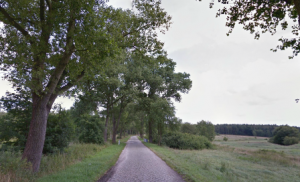 zwischen Kunice und Śiodło (Quelle: google strettview)