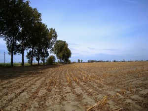 Ort der Schlacht bei Fraustadt zwischen Osowa Sień (Röhrsdorf) bis nach Dębowa Łęka (Geyersdorf)