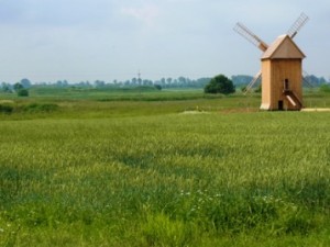 Burgwall zwischen Łęczyca und Tum